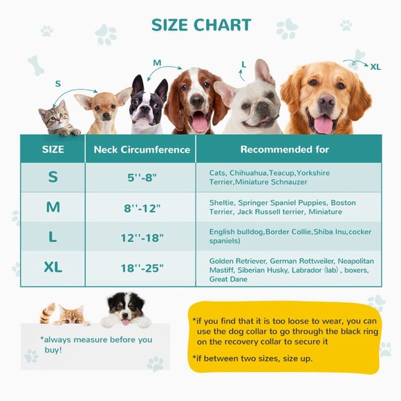 Pre-Owned Sealed Bilibara Large Inflatable Dog Collar Teal- 12"-18" Adju… - Picture 5 of 6